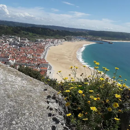 Aconchego Local Nazare