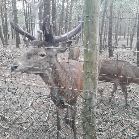 Aconchego Local Διαμέρισμα Ναζαρέ